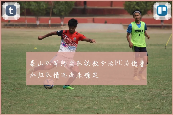 泰山队军师离队执教今治FC马德鲁加归队情况尚未确定