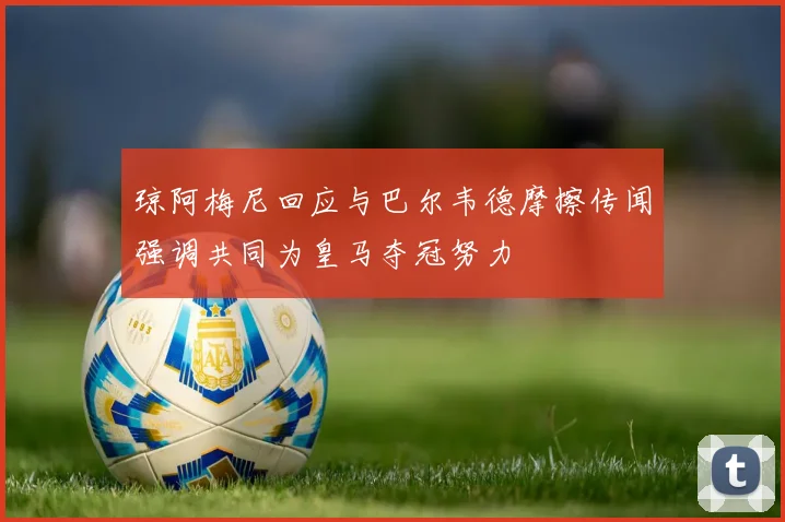 琼阿梅尼回应与巴尔韦德摩擦传闻强调共同为皇马夺冠努力